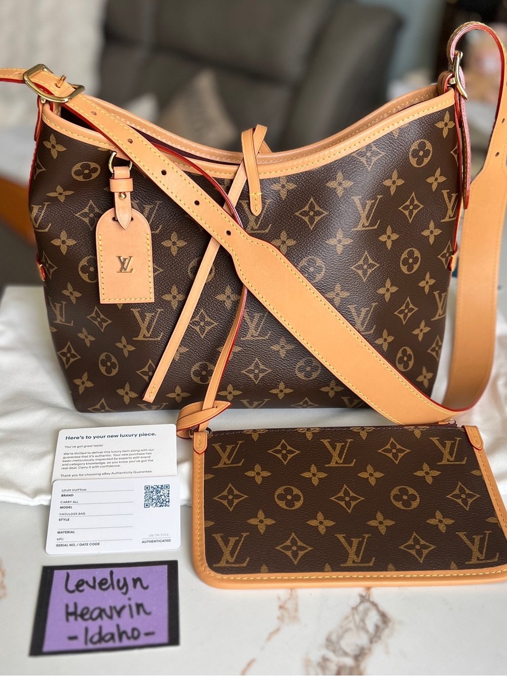 AuthenLouis Vuitton Carryall PM Set Monogram